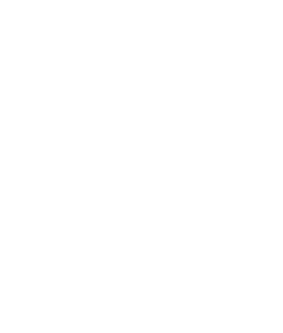 Emory Libraries Logo
