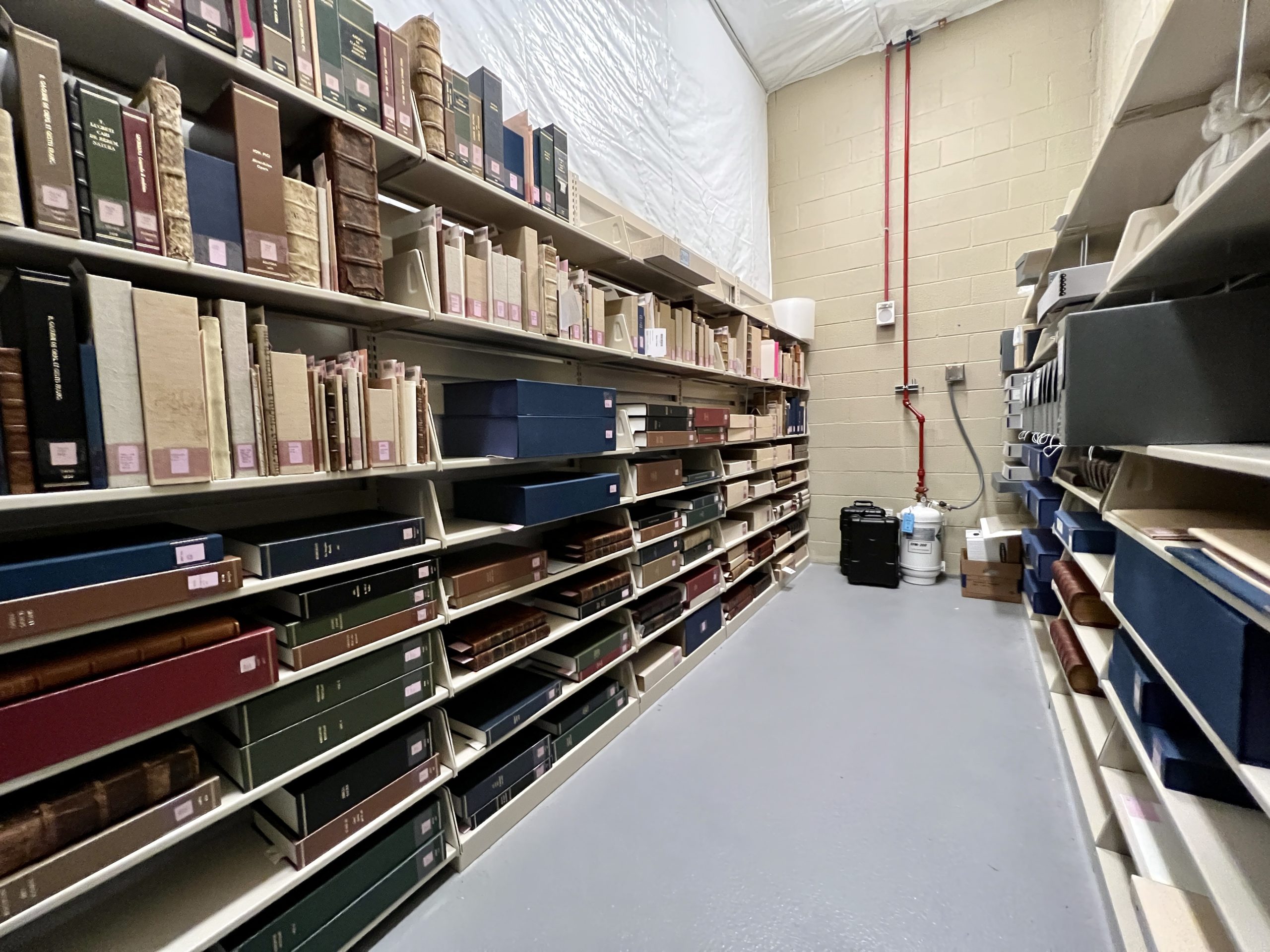 Book-filled shelves